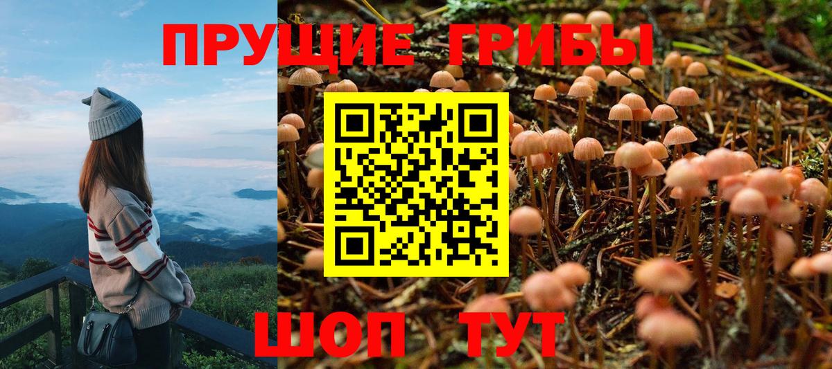 Галлюциногенные грибы мицелий Похвистнево