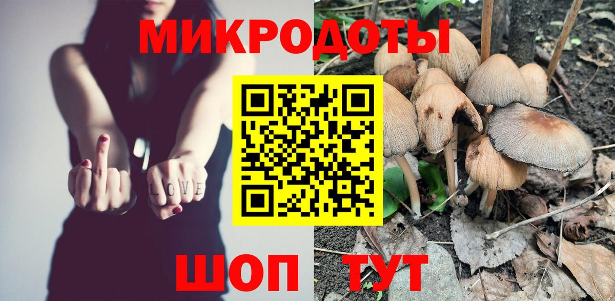 Похвистнево  Псилоцибиновые грибы Psilocybine cubensis  Вход с VPN 